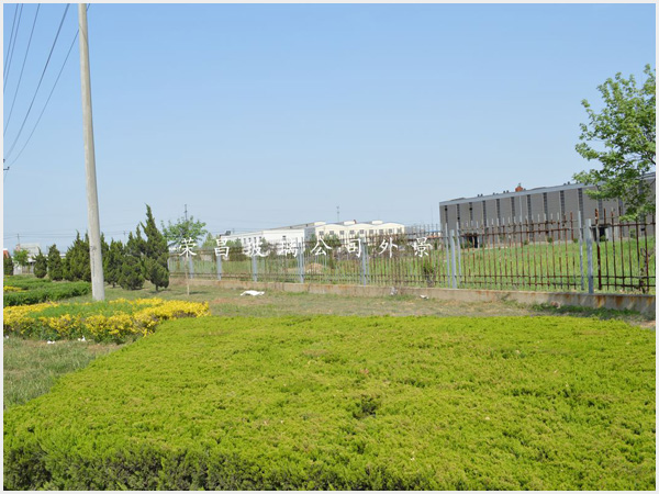 公司场景6